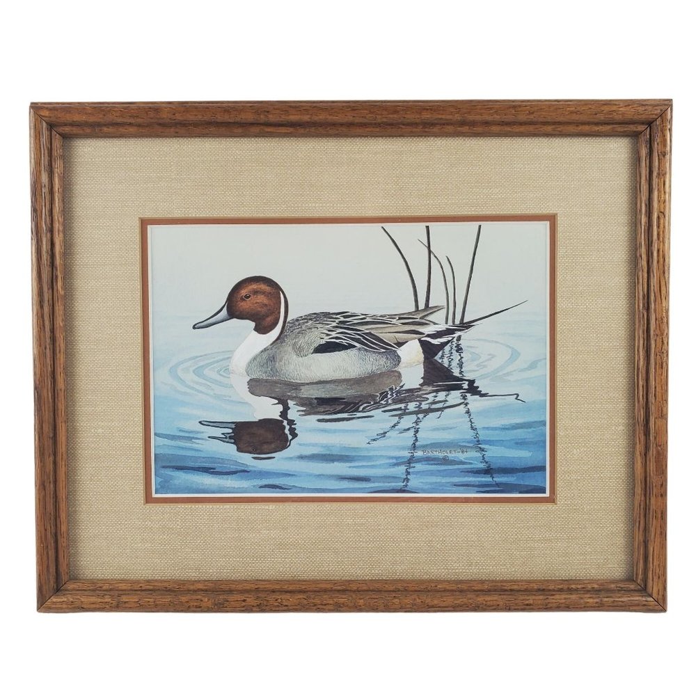 1984 Duck Watercolor: Pintail Drake by Dave Bartholet (Signed)
